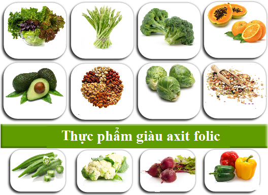 Nguồn: Internet